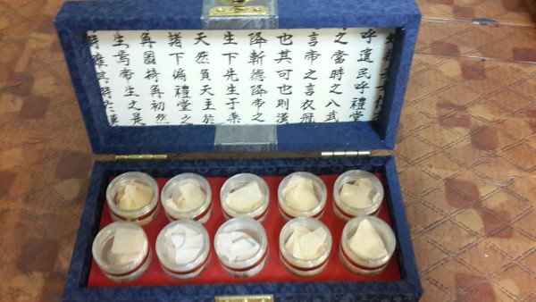 공진단10환